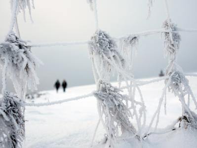 Spaziergänger am Deich in Dagebüll in Nordfriesland. Winter an der Nordsee