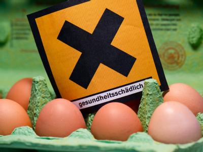 Giftiges Dioxin soll über verseuchtes Futter auf viele Bauernhöfe in mehreren Bundesländern gelangt sein. Untersuchungen zu Dioxin-Eiern