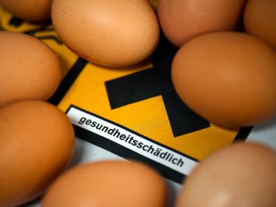 Gefahrenquelle Ei: Eine Ernährungswissenschaftlerin rät dazu, den Konsum vorerst zu drosseln. Gefahrenquelle Ei