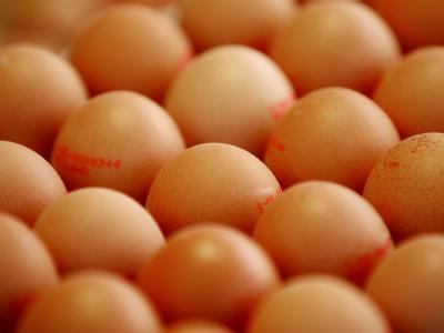 Die Dioxinfunde in Tierfutter und Eiern beschäftigen weiter Verbraucher, Justiz, Politiker und Ernährungsexperten. Eier auf dem Wochenmarkt