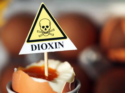 Der Dioxin-Skandal hat bundesweit die Verbraucher verunsichert. Dioxin-Skandal