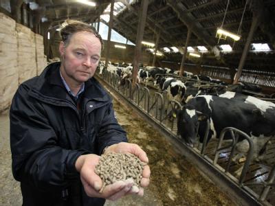 Milchbauer Jürgen Spreen-Ledebur zeigt möglicherweise mit Dioxin verunreinigtes Futter, das er unwissentlich, wie viele andere Landwirte, an seine Kühe verfüttert hat. Dioxin in Futtermitteln
