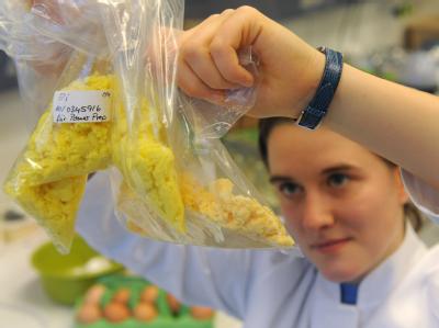Eier werden auf Dioxin-Belastung im Landesamt für Verbraucherschutz und Lebensmittelsicherheit in Oldenburg überprüft. Test auf Dioxin-Belastung