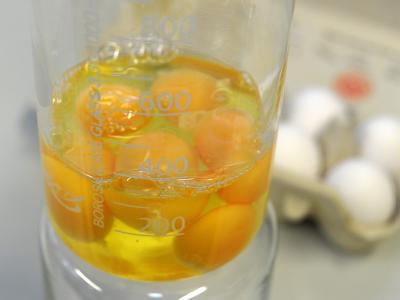 Aufgeschlagene Eier im Dioxin-Test: Von 83 Proben lagen 23 oberhalb des Höchstwertes. Dioxin-Tests