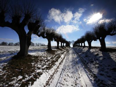 Ungewöhnlich kalt war es hierzulande nur im Dezember, laut Wetterdienst der kälteste seit 1969. Winterwetter in Mecklenburg