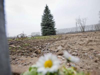 Mutterboden, Sand und Steine bedecken im unterfränkischen Karlstein am Main den Boden an der Stelle, wo einst Deutschlands erstes Atomkraftwerk stand. Wenn Gras über die Atomkraft wächst