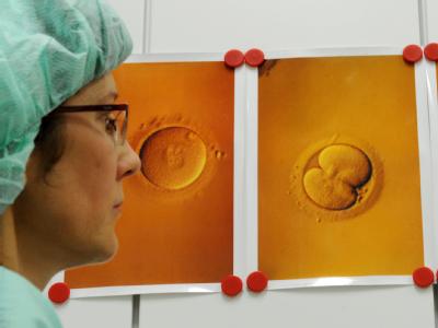 Eine Laboringenieurin in einem Labor für Reproduktionsmedizin. Im Labor