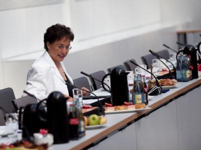 FDP-Fraktionschefin Birgit Homburger soll neue Vize-Parteichefin werden und gibt dafür den Fraktionsvorsitz auf. Birgit Homburger