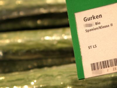 Nach Untersuchungen des Hamburger Hygiene-Instituts ist bei Gurken aus Spanien der gefährliche Durchfall-Erreger eindeutig festgestellt worden. Foto: Christian Charisius dpa/lno +++(c) dpa - Bildfunk+++ Gurken aus Spanien