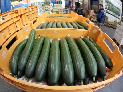 Nicht verkaufte Gurken aus regionalem Anbau auf dem Großmarkt in Hamburg. Gurken