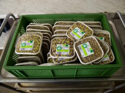 Abgepackte Sprossen-Salate in einem Produktionsbetrieb in Berlin. Sprossen-Salate