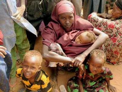 Somalische Flüchtlinge im kenianischen Dadaab: Die Situation im dürregeplagten Krisenland Somalia ist nach Angaben des UN-Flüchtlingskommissariats (UNHCR) die «schlimmste humanitäre Katastrophe» der Welt. UN: Dürre in Somalia schlimmste humanitäre Katastrophe