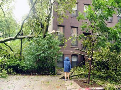 Zwar hinterließ der Sturm in New York deutliche Spuren, doch «Irene» war schwächer als erwartet und zog auch rasch weiter. Sturmschäden in New York