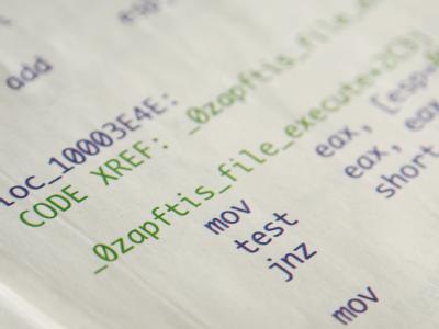 Teile eines Computer-Codes einer Spionagesoftware, der in der Frankfurter Allgemeinen Sonntagszeitung abgedruckt wurde. Nach Vorwürfen des Chaos Computer Clubs haben staatliche Behörden eine illegale «Spionagesoftware» eingesetzt. Foto: Wolfram Steinberg Code-Teile zu «Spionagesoftware»