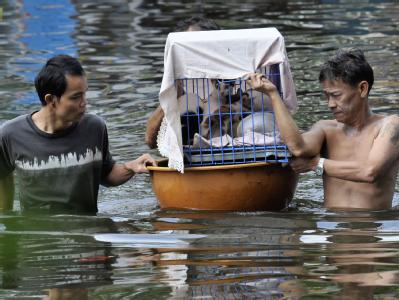 Thailand und andere Länder in Südostasien haben eine besonders heftige Monsunsaison erlebt. Foto: Udo Weitz Hochwasser in Bangkok