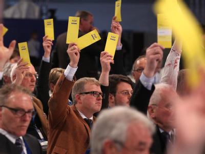 Delegierte des FDP-Parteitages stimmen ab. Foto: Michael Kappeler FDP-Bundesparteitag