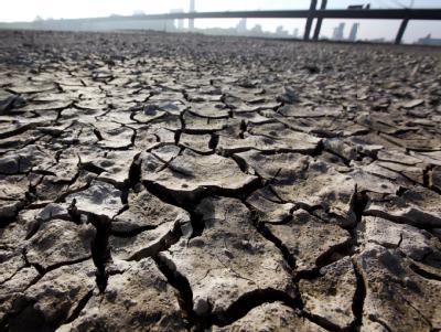 Kein Rhein mehr in Düsseldorf: Der November war viel zu trocken und zu warm. Foto: Martin Gerten Kein Rhein