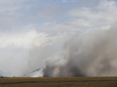 Inzwischen ist nach Schätzungen bereits eine Fläche von rund 11 000 Hektar zerstört worden. Foto: str Brand in Chiles Naturpark Torres del Paine
