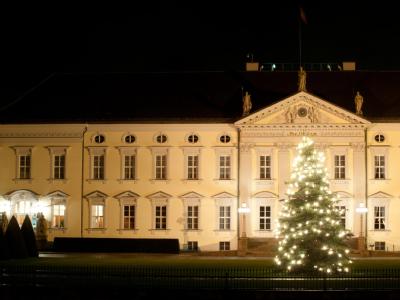 Bundespräsident Christian Wulff gerät in der Kreditaffäre nun wegen seines Umgangs mit den Medien unter zusätzlichen Druck. Foto: Jörg Carstensen Schloss Bellevue
