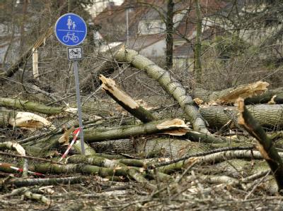 Umgestürzte Bäumen blockieren die Bundesstraße 224 in Bottrop. Foto: Marius Becker Sturmschäden