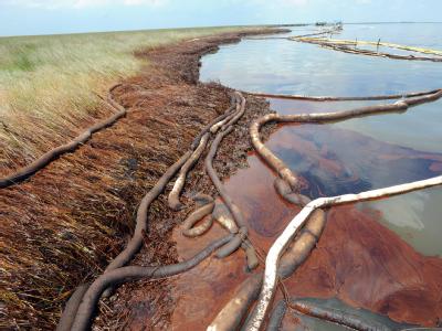 Rohöl, das aus der havarierten Ölbohrplattform Deepwater Horizon stammt, verschmutzt die Küste bei Bay Jimmy in Louisiana. Foto: Erik S. Lesser/Archiv Verunreinigte Küste in Louisiana