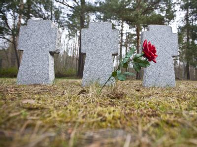 Nach dem Fund einer Babyleiche in der Nähe einer Kriegsgräberstätte im nordsächsischen Elsterheide sind bei der Polizei erste Hinweise eingegangen. Foto: Oliver Killig Erste Hinweise nach Fund einer Babyleiche