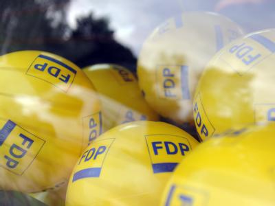 Auch der Wahlerfolg in Schleswig-Holstein kann die FDP nicht aus ihrem Tief ziehen. Foto: Caroline Seidel FDP