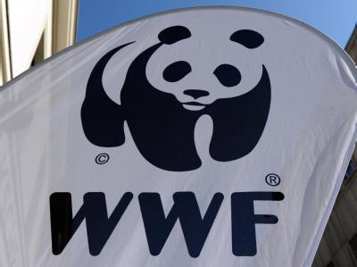 Die Umweltstiftung World Wide Fund for Nature (WWF) hat juristische Schritte eingeleitet. Foto: Jens Kalaene WWF-Logo