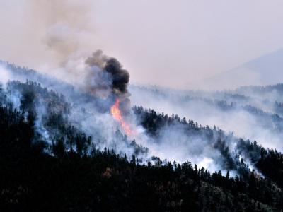 Waldbrand Mitte Mai nahe Ft. Collins. Der Brand erstreckt sich zu diesem Zeitpunkt auf eine ca. 170 Quadratkilometer große Fläche. Foto: Bob Pearson Erste Brände
