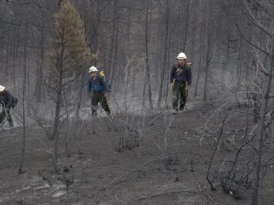Feuerwehrleute suchen nach übergebliebenen Brandnestern. Foto: Barry Guiterrez Waldo Canyon