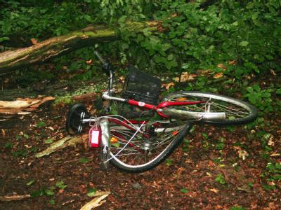 Eine Stunde nach einem Gewitter ist eine Radfahrerin in Lüneburg vom einem umstürzenden Baum getötet worden. Foto: Feuerwehr Lüneburg Umstürzender Baum tötet Radfahrerin