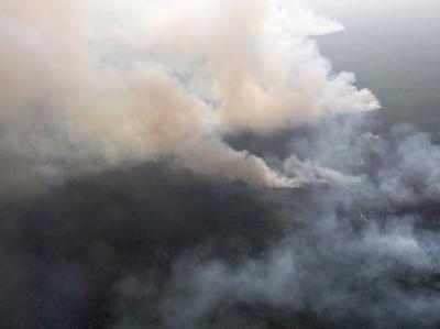 Rauchschwaden steigen aus den brennenden Wälder im Gebiet Tomsk in Sibirien auf. Foto: Yakov Andreev Brände in Sibirien