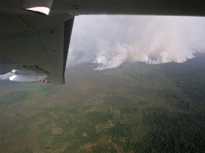 Wieder verheerende Brände in Russland: Besonders betroffen ist Sibirien. Foto: Yakov Andreev/RIA Novosti Blick aus dem Flugzeug