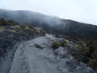 Der Vulkan Tongariro dampft nach seinem überraschenden Ausbruch weiter. Aus neuen Rissen im Berg steigen Dampffontänen auf. Ein zweiter Vulkan hat auch «gerülpst», wie ein Forscher sagte. Foto: New Zealand Police Tongariro