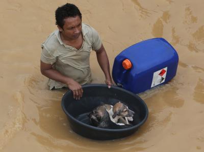 Ein Philippiner muss seine Hunde in einer Schale durch die überfluteten Straßen der Stadt Marikina führen. Foto: Rolex Dela Pena Flutkatastrophe in Manila