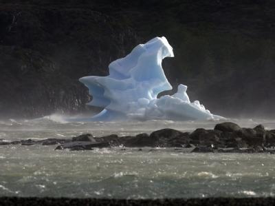 Bedrohte Art: Der Grey-Gletscher in Chile (Archiv). Grey-Gletscher in Chile