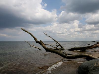Der Ostseestrand bei Lübeck-Travemünde. Gibt es jetzt auch Piraten in der Ostsee? Ostsee