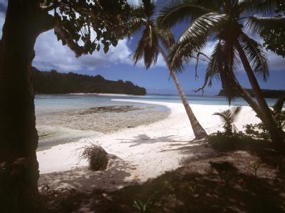 Der Tsunami hat in der Inselwelt des Südpazifiks wahrscheinlich 120 Menschen getötet. Strand
