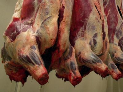 In den vergangenen Jahren ist immer wieder Fleisch in den Handel gekommen, das nicht zum Verzehr geeignet war. (Symbolbild) Rinder im Schlachthof