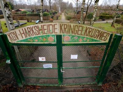 Der Kleingartenverein Migrantenquote im Kleingartenverein