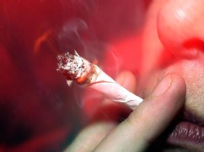 In den Niederlanden sollen Haschisch und Marihuana künftig als illegales Rauschgift eingestuft werden, wenn sie mehr als 15 Prozent THC enthalten. Foto: Torsten Leukert, dpa Drogenkonsum