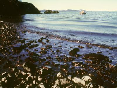Blick auf einen verseuchten Küstenstreifen in Alaska (Archivfoto vom März 1989). Bei der durch den Tanker «Exxon Valdez» ausgelösten, bislang schwersten Ölkatastrophe in der Geschichte der USA wurde die Natur auf Jahrzehnte schwer geschädigt. «Exxon Valdez» hinterließ gewaltige Schäden