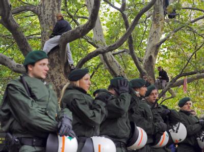 Stuttgart 21-Gegner sitzen im Stuttgarter Schlossgarten in Stuttgart auf Bäumen. Die Polizei reagierte auf die neuen Proteste mit einem Großaufgebot. Stuttgart 21 - Proteste