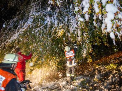 Zwei Feuerwehrmänner versuchen, einen Baum vom nassen Neuschnee zu befreien. Foto: Marc Müller Schnee in Oberbayern
