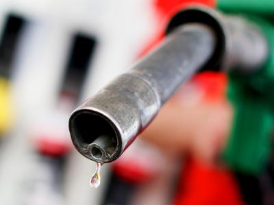 Benzinpreise, Wasserflöhe und Gänsehaut: Die Testfragen sind abwechslungsreich gestaltet. Foto: Oliver Berg Tankstelle
