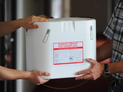 Eine Organtransportbox wird in den Räumen der Deutschen Stiftung Organtransplantation (DSO) in Berlin übergeben. Foto: Jens Kalaene/Archiv Organspende