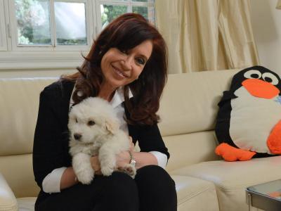 Argentiniens Staatschefin Cristina Fernandez de Kirchnerwar war Anfang Oktober an einer Hirnhautblutung operiert worden. Foto: Presidency of Argentina Cristina Fernandez de Kirchner
