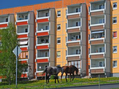 Zwei Pferde weiden im sächsischen Döbeln vor einem sanierten Plattenbau. Foto: Wolfgang Thieme/Archiv Döbeln