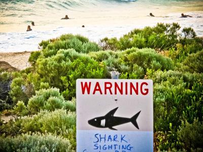 Ein Warnschschild an einem Strand im Westen Australiens. Foto: Rebecca Le May Warnschschild