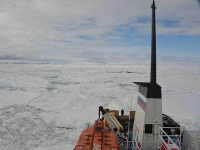 Die «MV Akademik Shokalskiy» sitzt seit dem 1. Weihnachtstag im Eis fest. Foto: Australian Maritime Safety Authority Kein Durchkommen